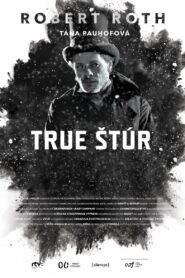 True Štúr 2015 one on netflix