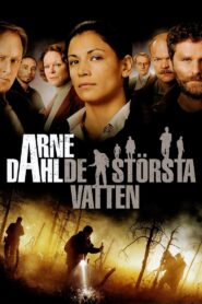 Arne Dahl: Many Waters 2012 one on netflix