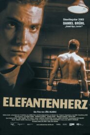 Elephant Heart 2002 one on netflix