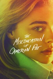 The Miseducation of Cameron Post 2018 one on netflix