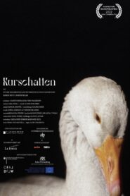 Kurschatten 2021 one on netflix