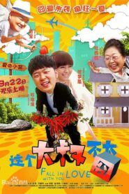 Fall in Love with You 2014 one on netflix