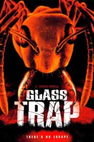 Glass Trap 2005 one on netflix