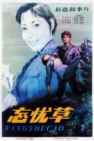 Wang you cao 1982 one on netflix