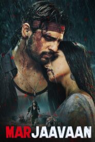 Marjaavaan 2019 one on netflix