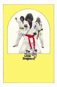 The Little Dragons 1980 one on netflix