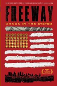 Freeway: Crack in the System 2014 one on netflix
