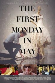 The First Monday in May 2016 one on netflix