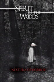 Spirit in the Woods 2014 one on netflix