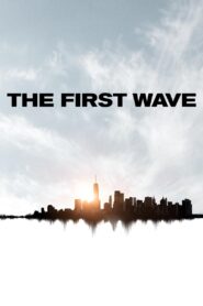 The First Wave 2021 one on netflix
