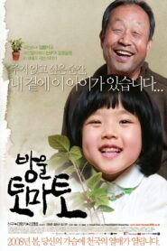 Cherry Tomato 2008 one on netflix
