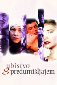 Premeditated Murder 1995 one on netflix