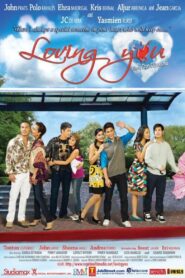 Loving You 2008 one on netflix