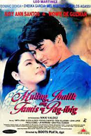Muling Ibalik Ang Tamis Ng Pag-ibig 1998 one on netflix