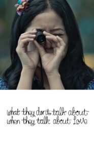 What They Don’t Talk About When They Talk About Love 2013 one on netflix