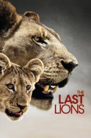 The Last Lions 2011 one on netflix