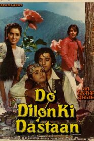 Do Dilon Ki Dastaan 1985 one on netflix