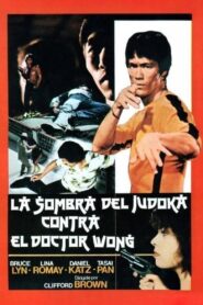 Judoka Shadow versus Doctor Wong 1985 one on netflix