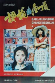 橄榄绿屋顶 1987 one on netflix