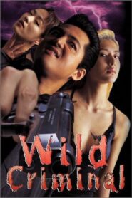 Wild Criminal 1999 one on netflix