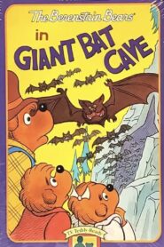 The Berenstain Bears in Giant Bat Cave 1985 one on netflix