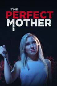 Almost Perfect 2019 one on netflix