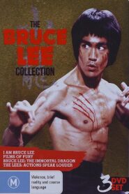 The Lees: Action Speaks Louder 1999 one on netflix