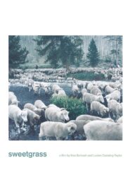Sweetgrass 2009 one on netflix