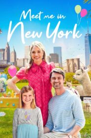 Meet Me in New York 2022 one on netflix