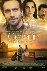 Gecenin Nakaratı 2024 one on netflix