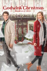 A Godwink Christmas: Miracle of Love 2021 one on netflix