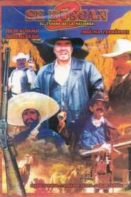 Se buscan II, el tesoro de la hacienda 2003 one on netflix