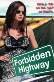 Forbidden Highway 2001 one on netflix