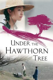 Under the Hawthorn Tree 2010 one on netflix