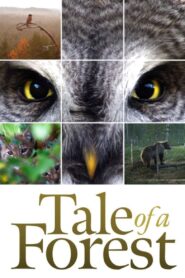 Tale of a Forest 2012 one on netflix