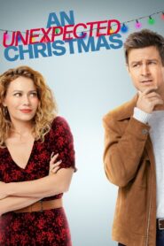 An Unexpected Christmas 2021 one on netflix