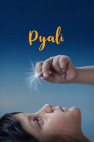 Pyali 2022 one on netflix