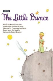 The Little Prince 2004 one on netflix
