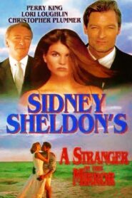 A Stranger in the Mirror 1993 one on netflix