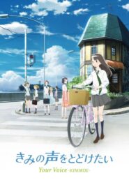 Your Voice -KIMIKOE- 2017 one on netflix