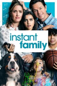 Instant Family 2018 one on netflix