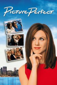 Picture Perfect 1997 one on netflix
