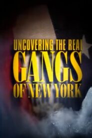 Uncovering the Real Gangs of New York 2003 one on netflix