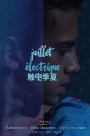 Electric July 2014 one on netflix