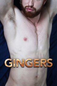 Gingers 2013 one on netflix