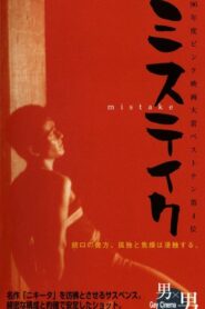 Mistake 1995 one on netflix