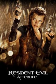 Resident Evil: Afterlife 2010 one on netflix