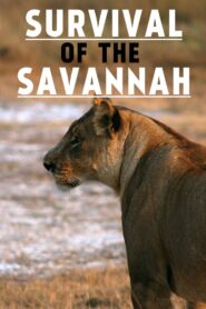 Survival on the Savannah 1999 one on netflix
