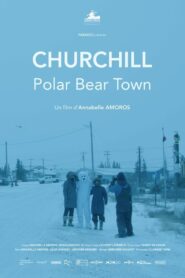 Churchill, Polar Bear Town 2021 one on netflix