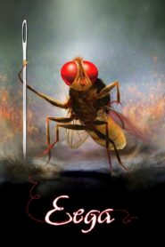 Eega 2012 one on netflix